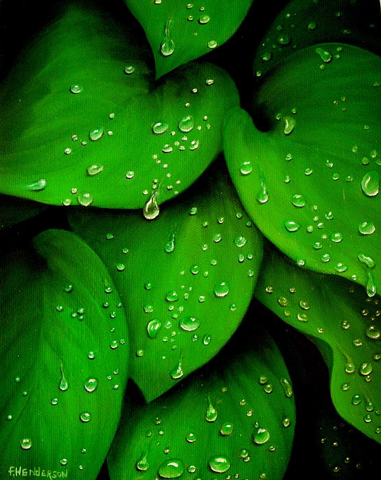 Rhythm of the Rain by Francine Henderson Rhythm of the Rain by Francine Henderson